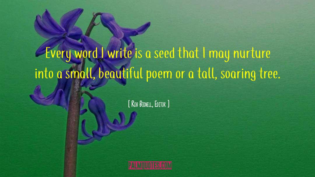 Beautiful Poem quotes by Rob Bignell, Editor