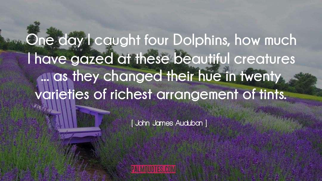 Beautiful Poverty quotes by John James Audubon