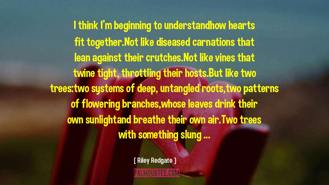 Beautiful Prose quotes by Riley Redgate