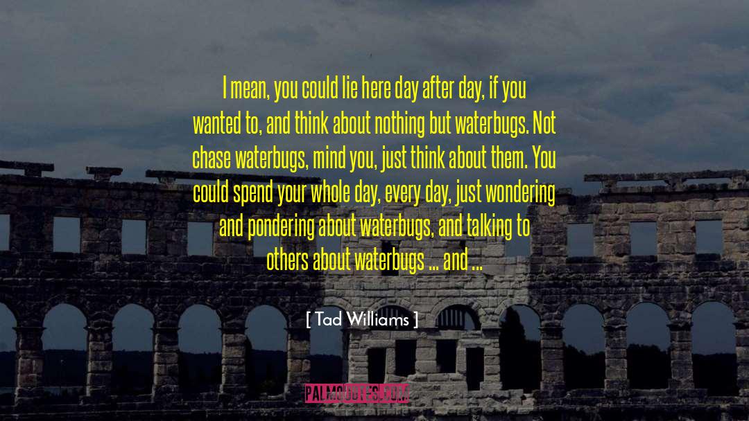 Beautiful Salvation quotes by Tad Williams