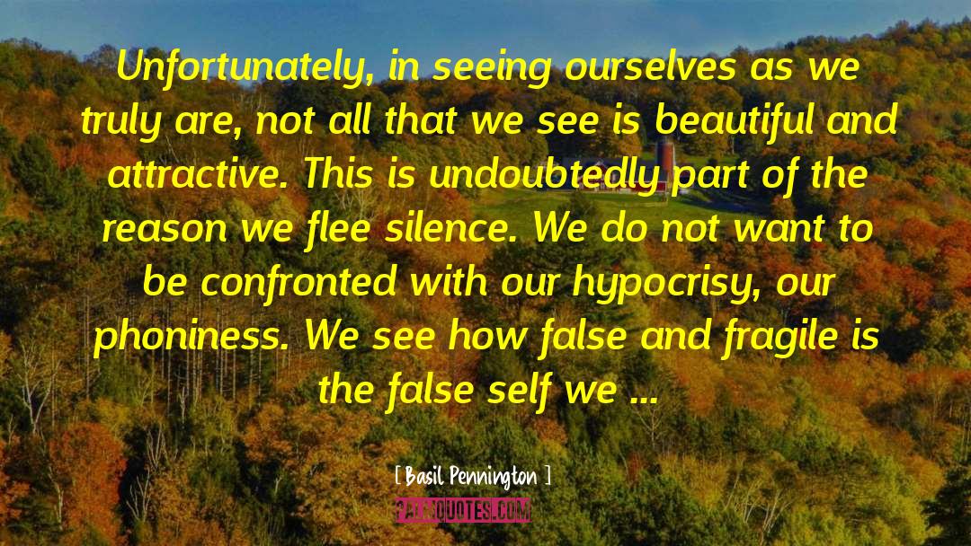 Beautiful Self quotes by Basil Pennington