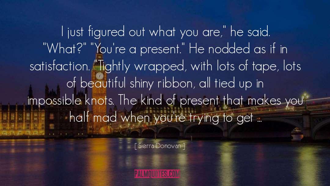 Beautiful Self quotes by Sierra Donovan