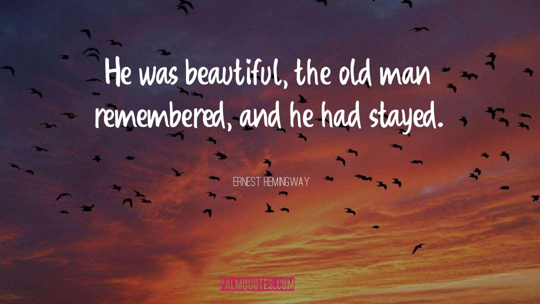Beautiful Sights quotes by Ernest Hemingway