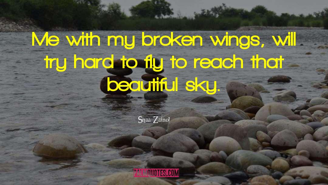 Beautiful Sky quotes by Shaa Zainol