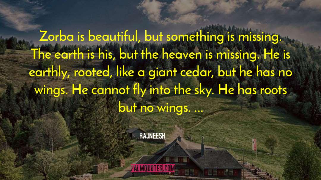 Beautiful Sky quotes by Rajneesh
