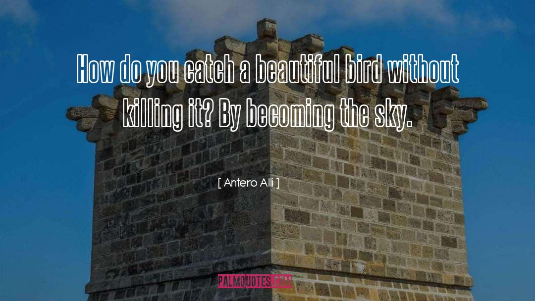 Beautiful Sky quotes by Antero Alli
