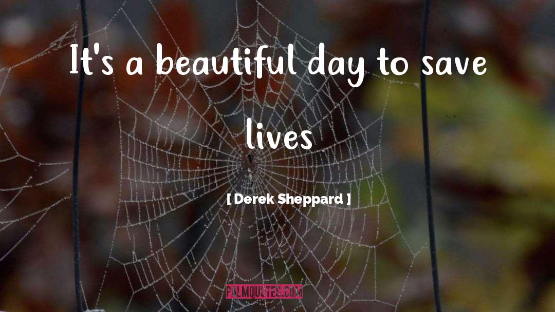 Beautiful Sons quotes by Derek Sheppard