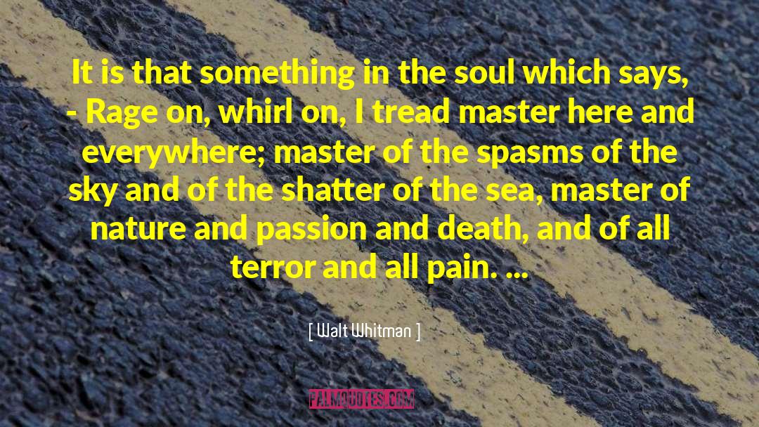 Beautiful Soul quotes by Walt Whitman