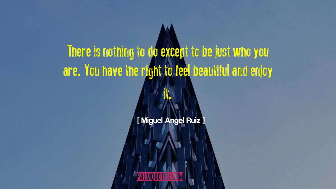 Beautiful Stranger quotes by Miguel Angel Ruiz