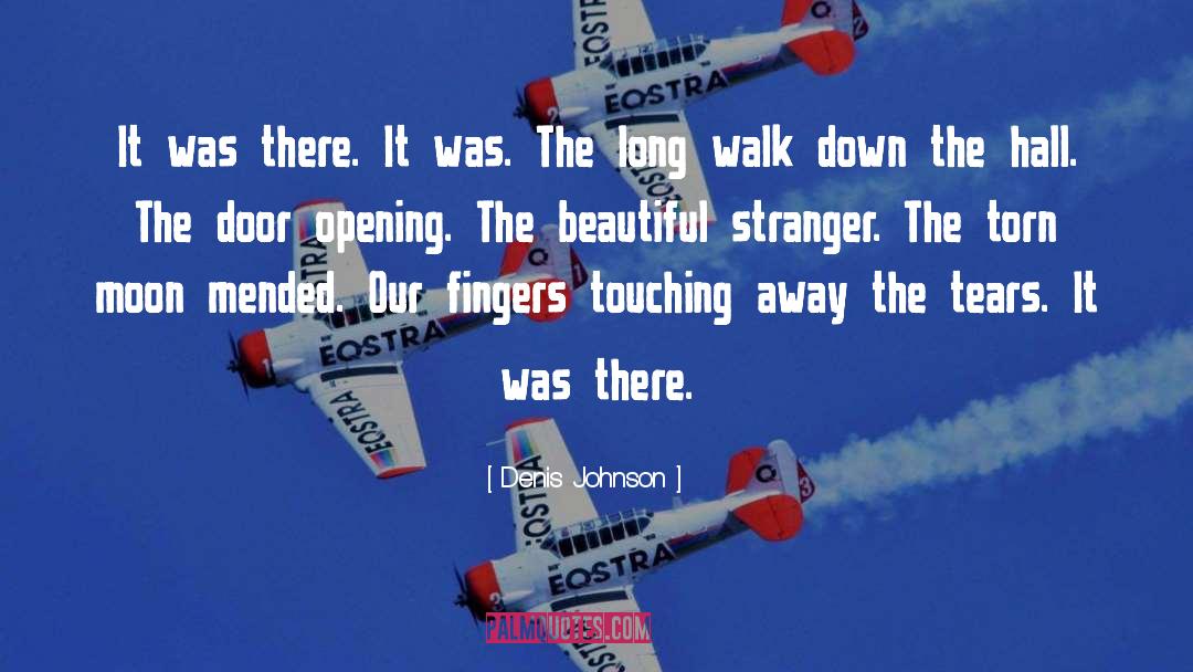 Beautiful Stranger quotes by Denis Johnson