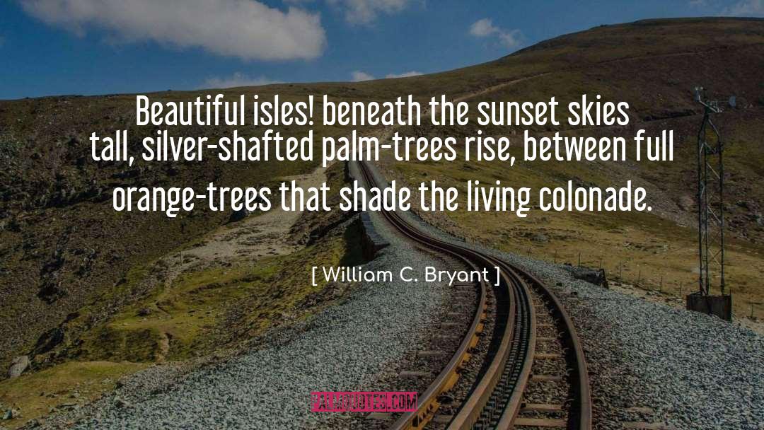 Beautiful Sunset quotes by William C. Bryant