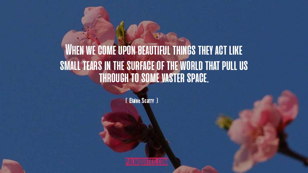 Beautiful Things quotes by Elaine Scarry