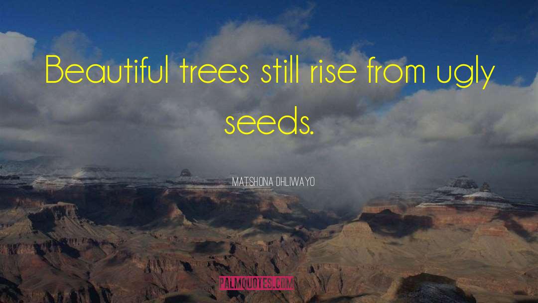 Beautiful Trees quotes by Matshona Dhliwayo