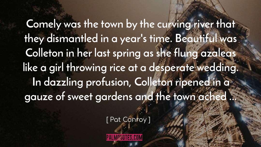 Beautiful Wedding Cakes quotes by Pat Conroy