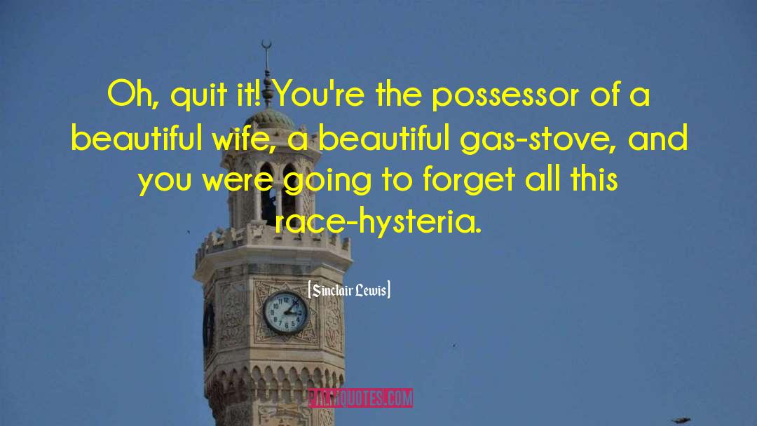 Beautiful Wife quotes by Sinclair Lewis