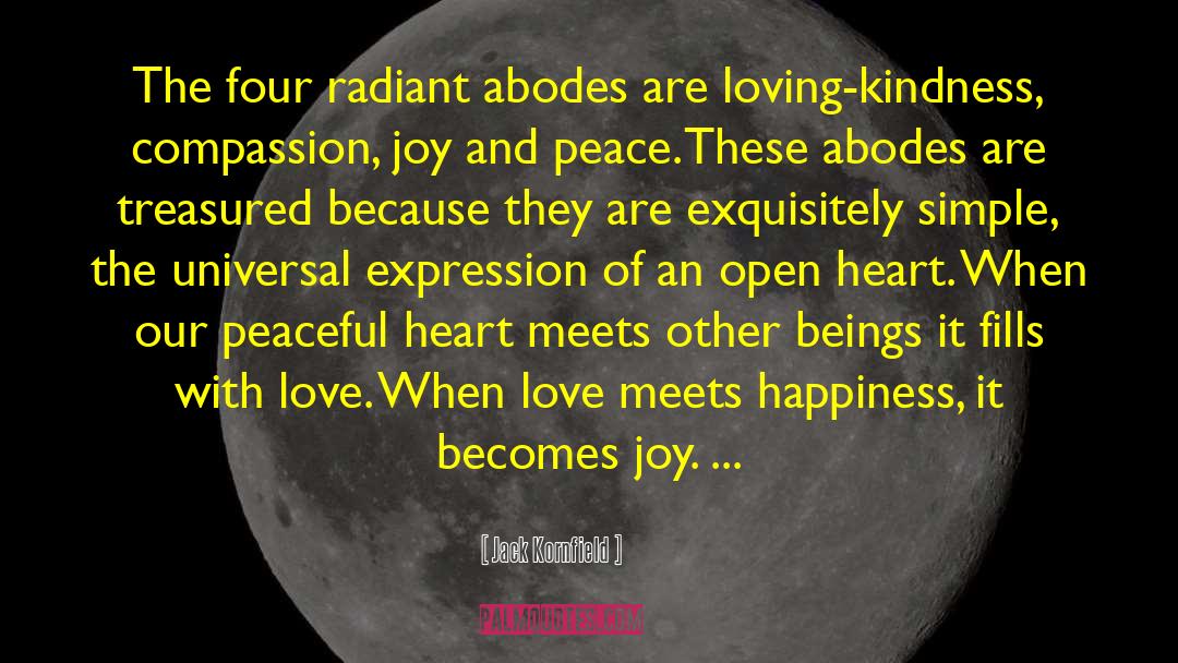 Beautiful With Kindness And Joy quotes by Jack Kornfield