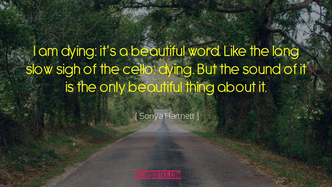 Beautiful Words quotes by Sonya Hartnett