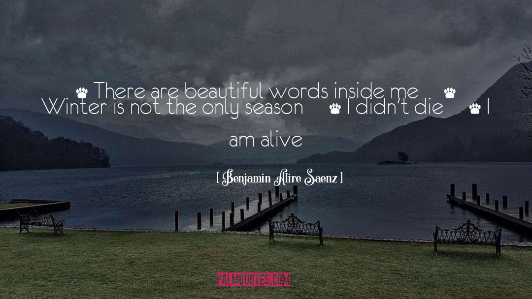 Beautiful Words quotes by Benjamin Alire Saenz