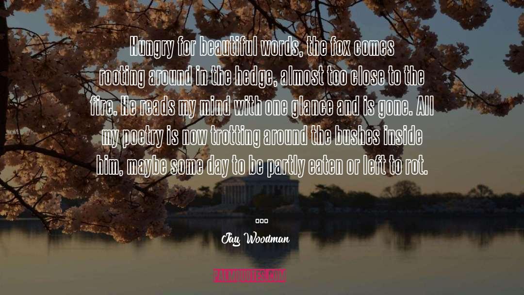 Beautiful Words quotes by Jay Woodman