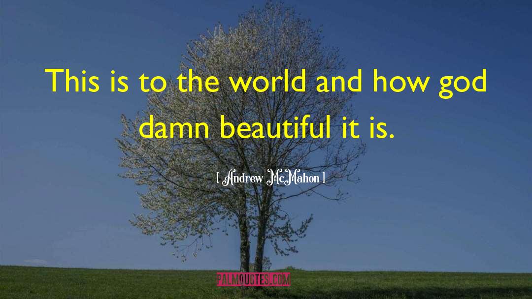 Beautiful World quotes by Andrew McMahon