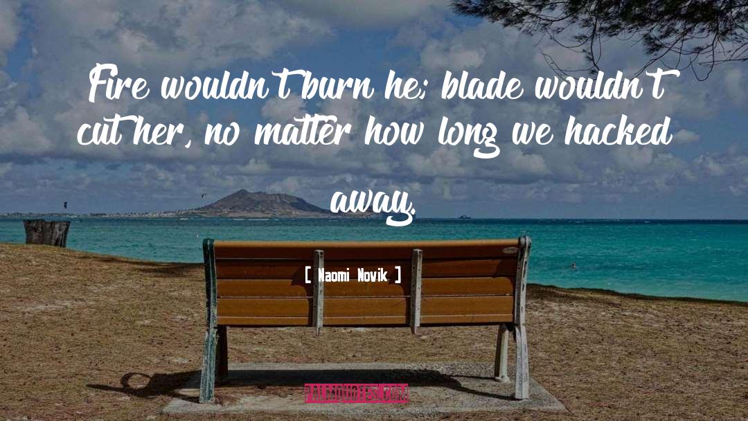 Beautiful Writing quotes by Naomi Novik