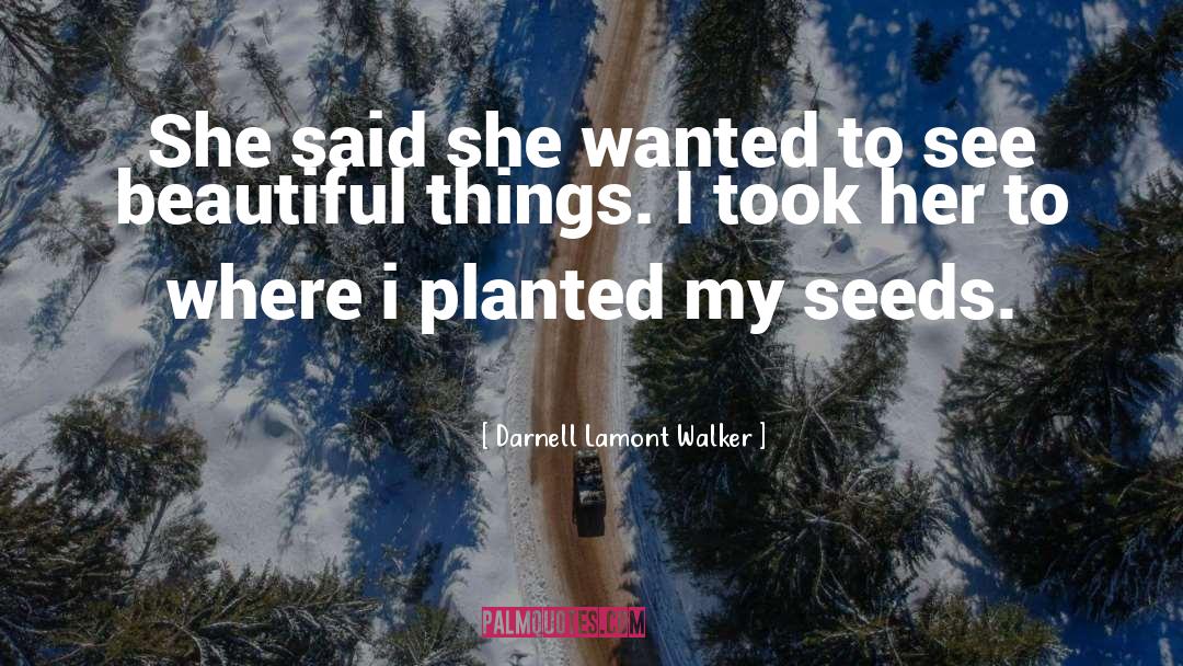 Beautiful Writng quotes by Darnell Lamont Walker