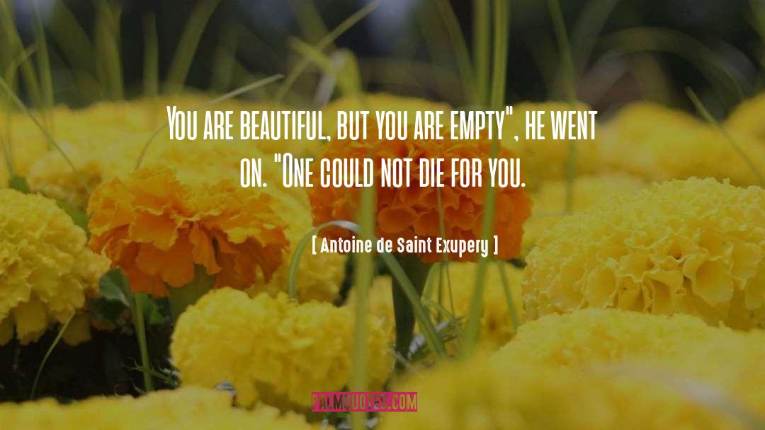 Beautiful You quotes by Antoine De Saint Exupery