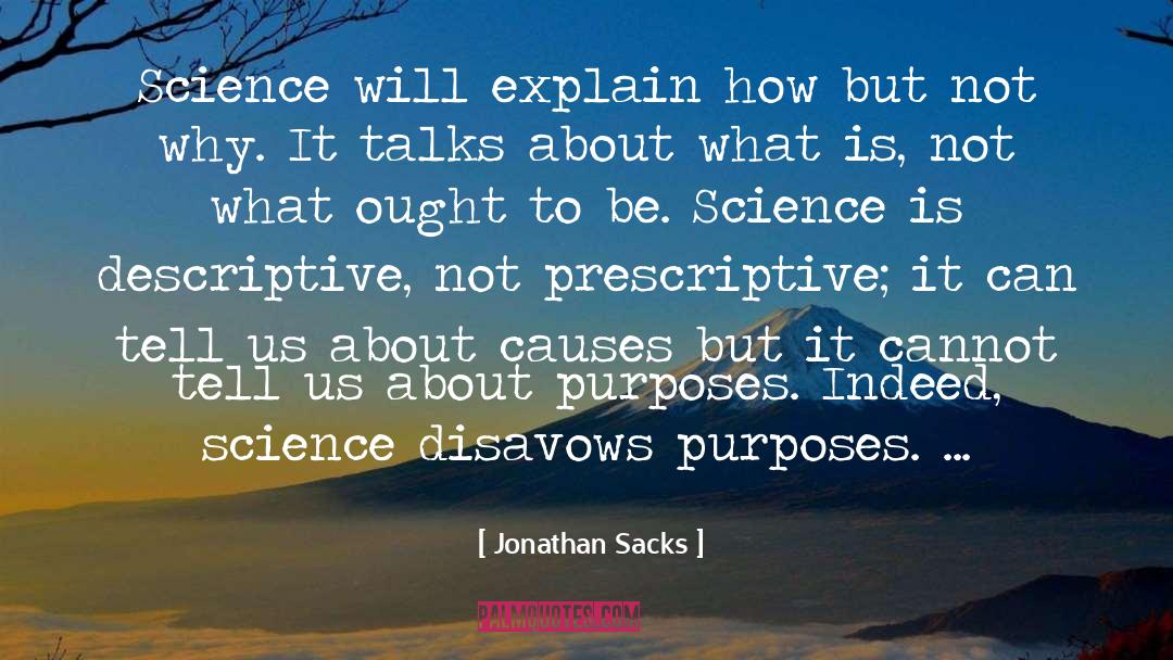 Beautifully Descriptive quotes by Jonathan Sacks