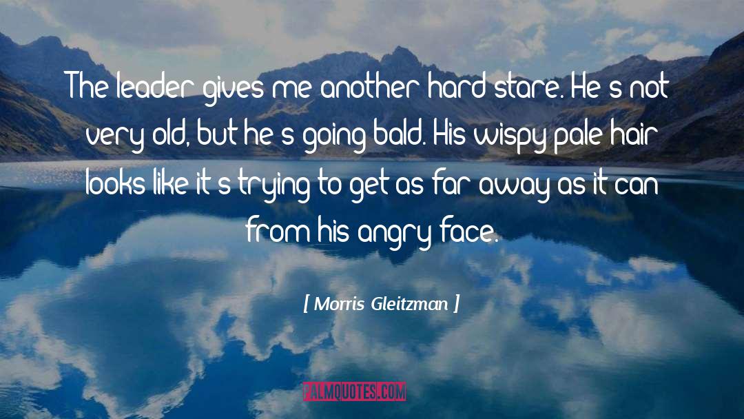 Beautifully Descriptive quotes by Morris Gleitzman