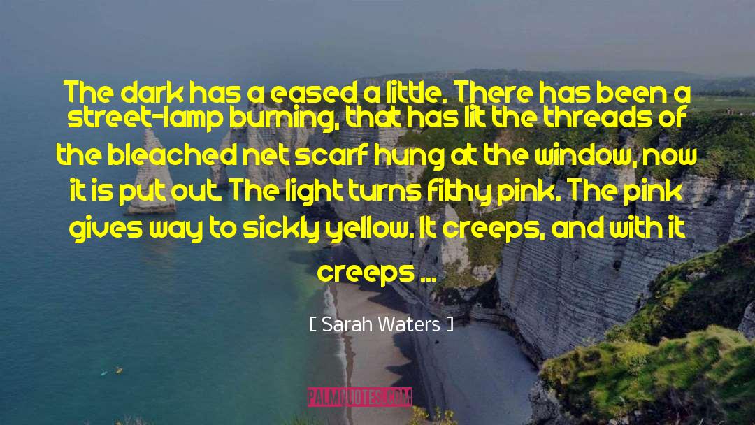 Beautifully Descriptive quotes by Sarah Waters