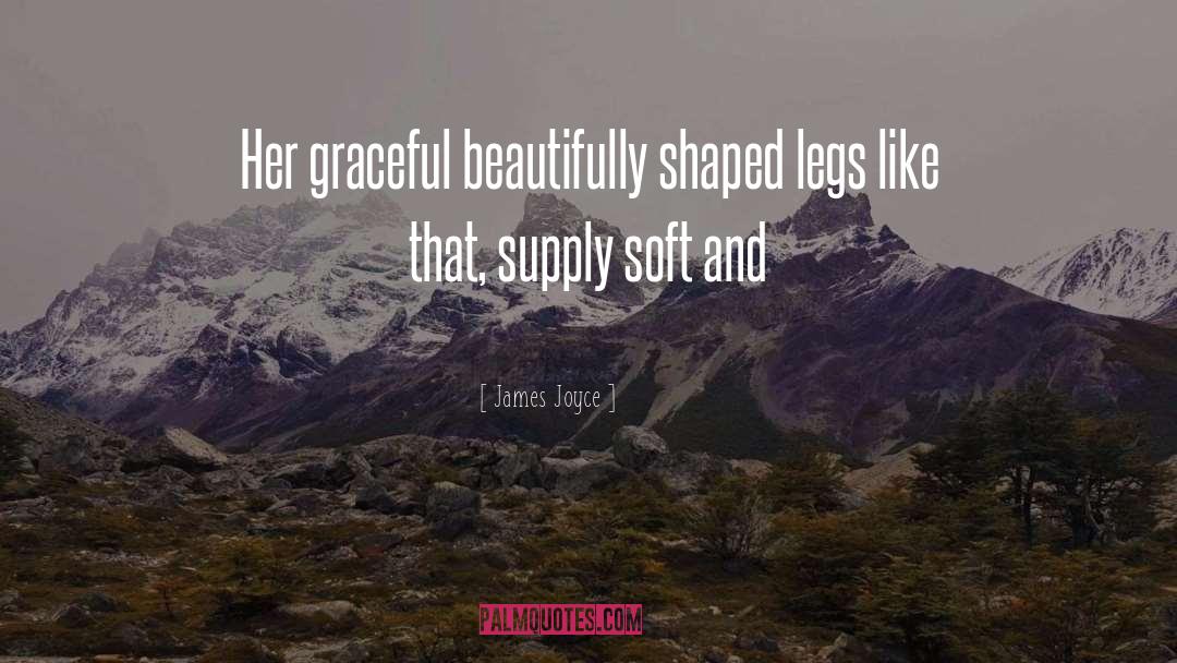 Beautifully Imperfect quotes by James Joyce