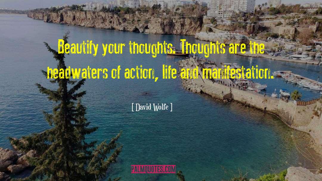 Beautify quotes by David Wolfe