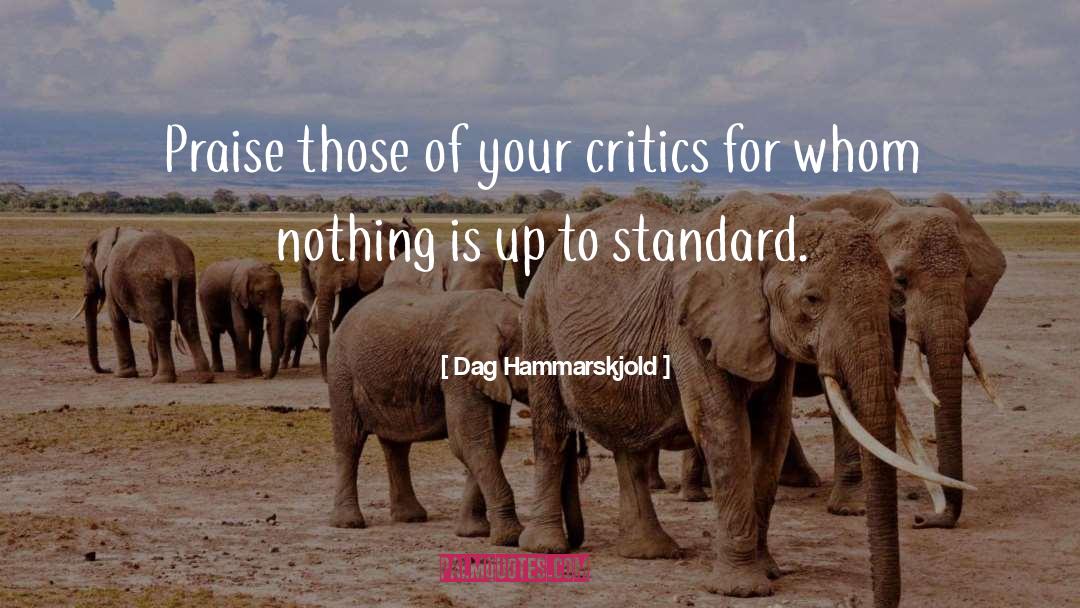 Beautify Standards quotes by Dag Hammarskjold