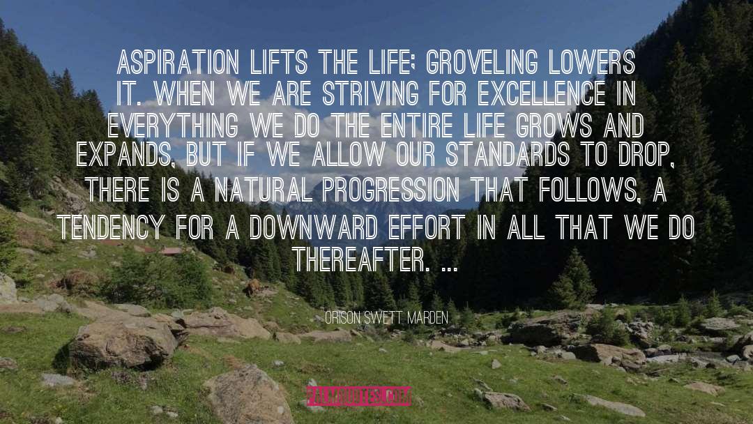 Beautify Standards quotes by Orison Swett Marden