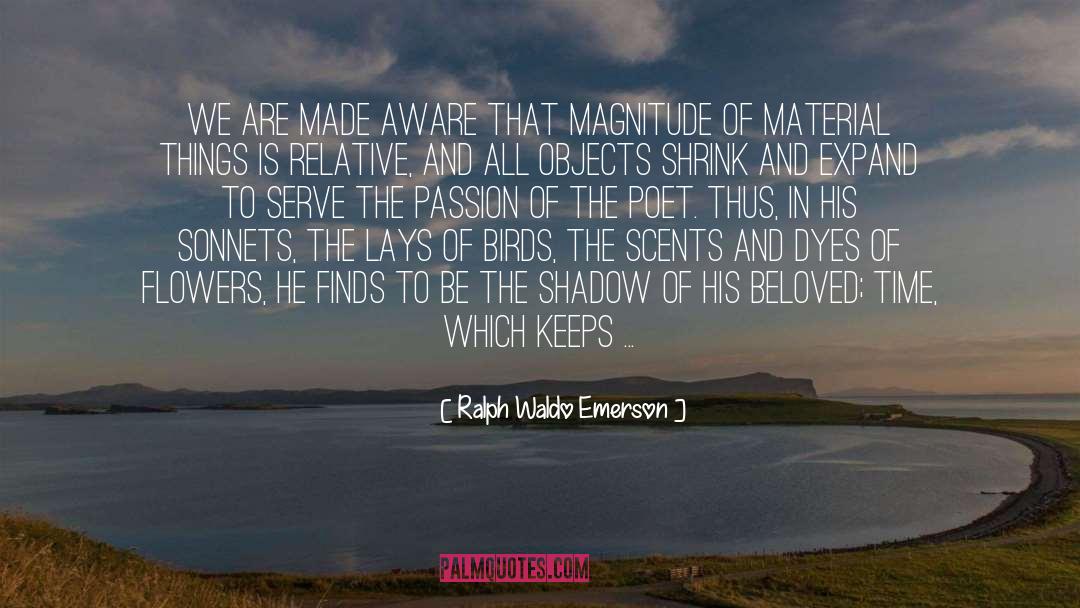 Beautifying Ornament quotes by Ralph Waldo Emerson