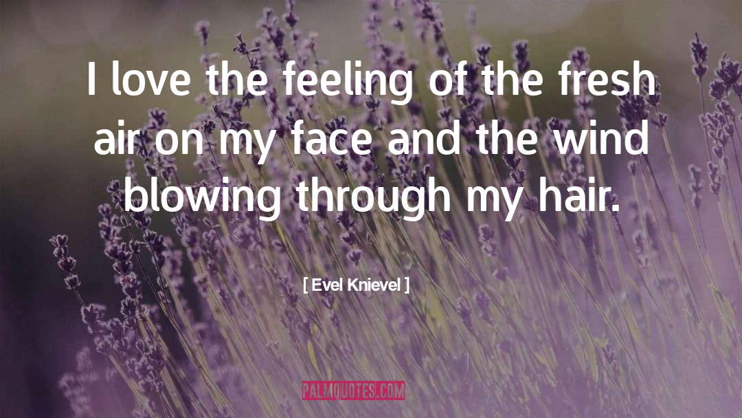 Beauty And Love quotes by Evel Knievel