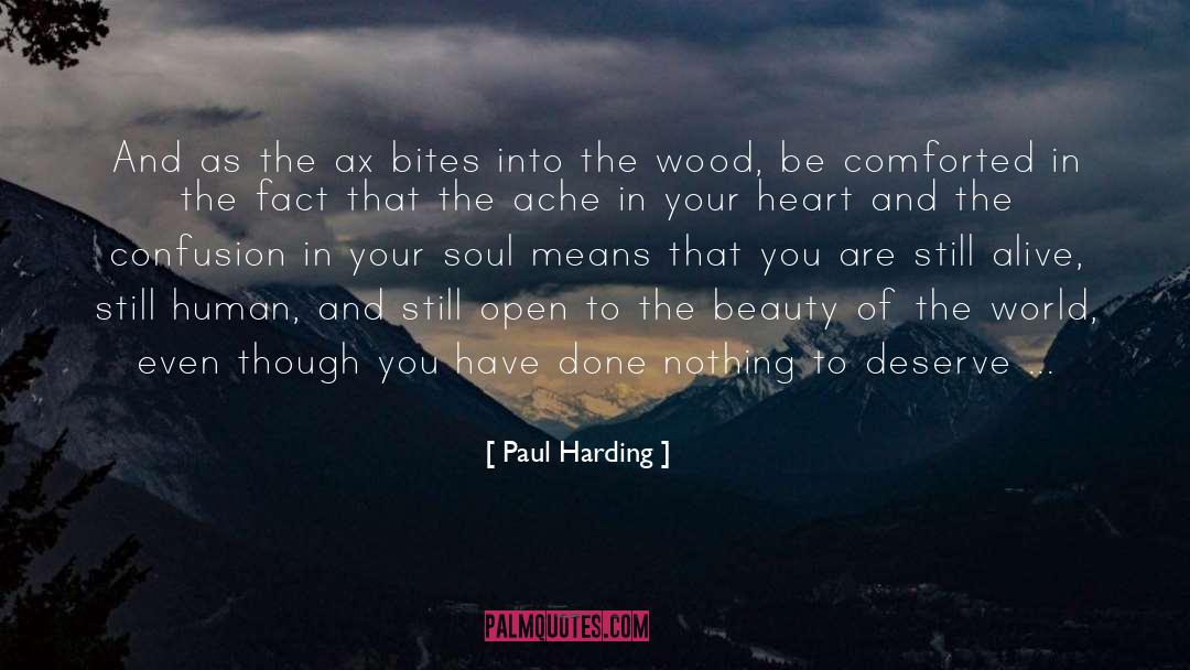 Beauty And Oneness quotes by Paul Harding