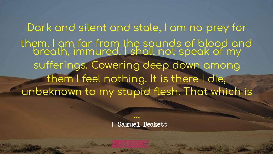Beauty And Peace quotes by Samuel Beckett