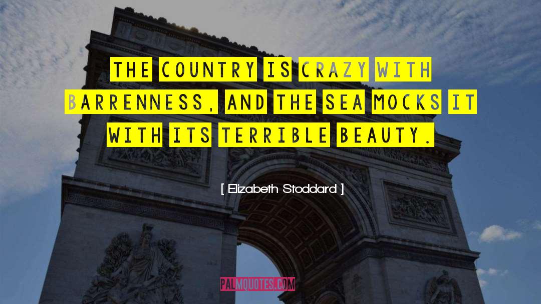 Beauty And Tragedy quotes by Elizabeth Stoddard