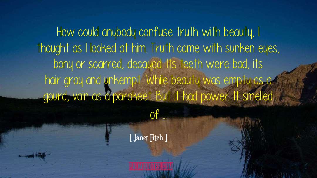 Beauty And Tranquility quotes by Janet Fitch