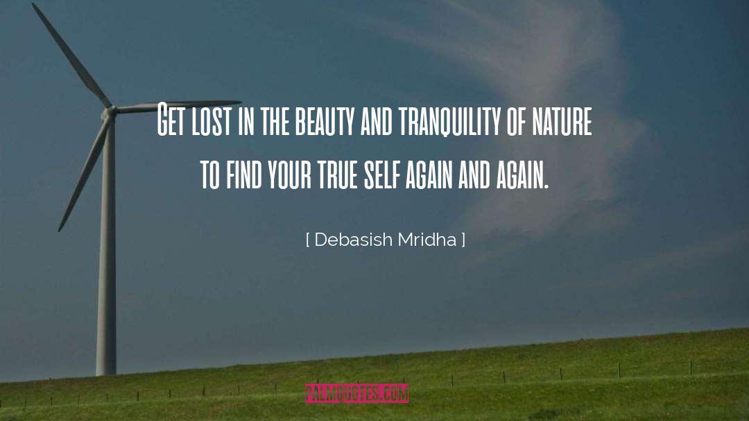 Beauty And Tranquility quotes by Debasish Mridha