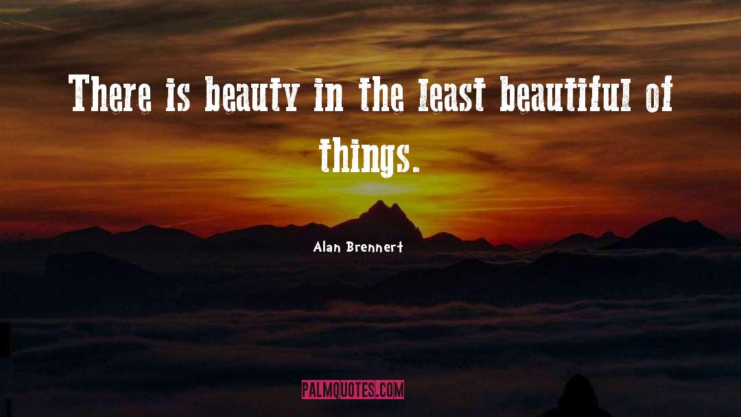 Beauty Beautiful quotes by Alan Brennert
