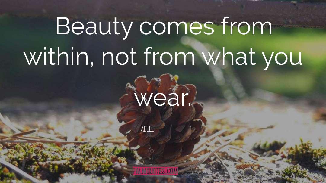 Beauty Comes From Within quotes by Adele