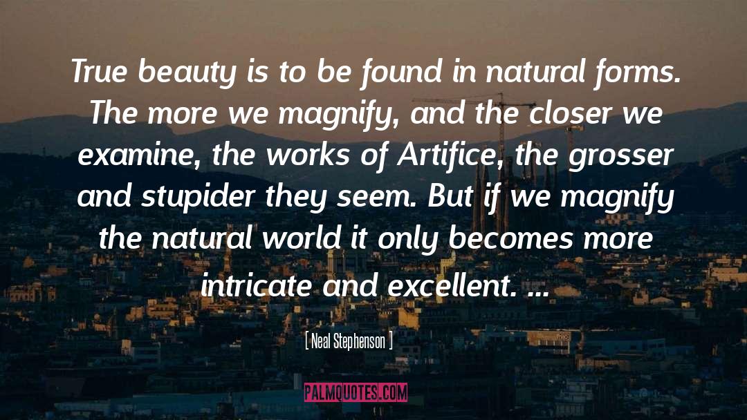 Beauty Contest quotes by Neal Stephenson