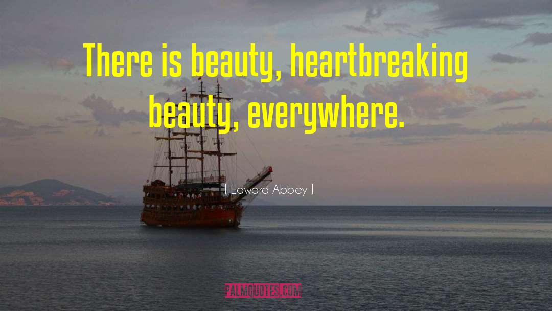 Beauty Everywhere quotes by Edward Abbey