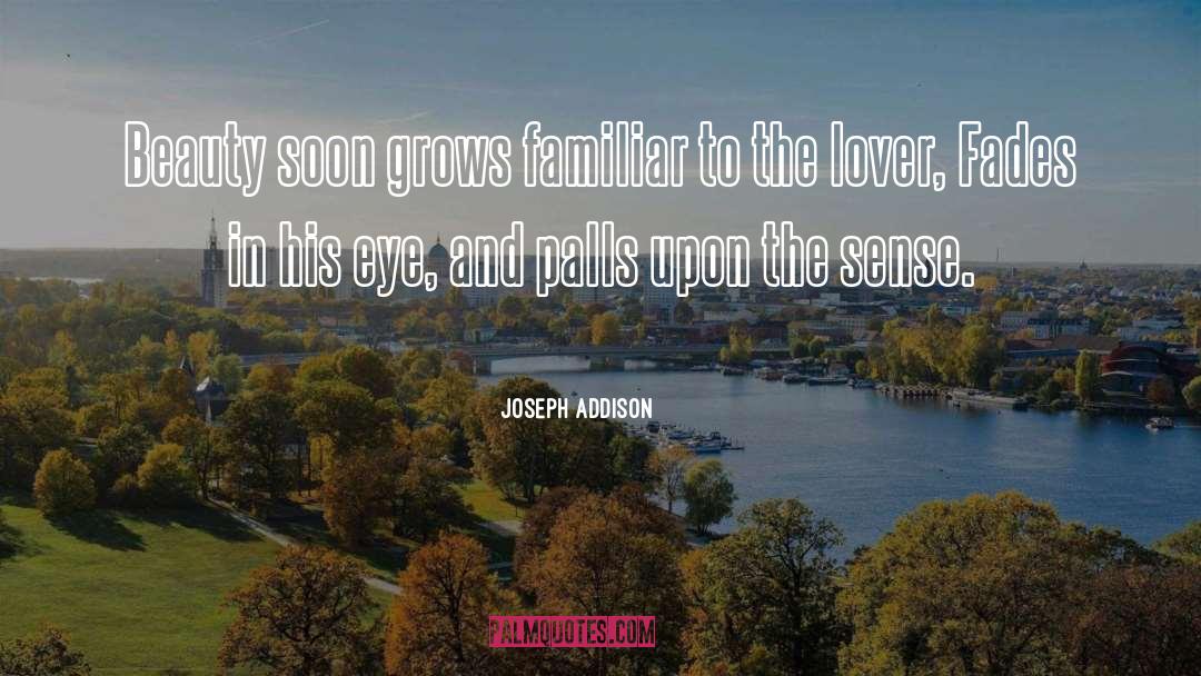 Beauty Fades quotes by Joseph Addison