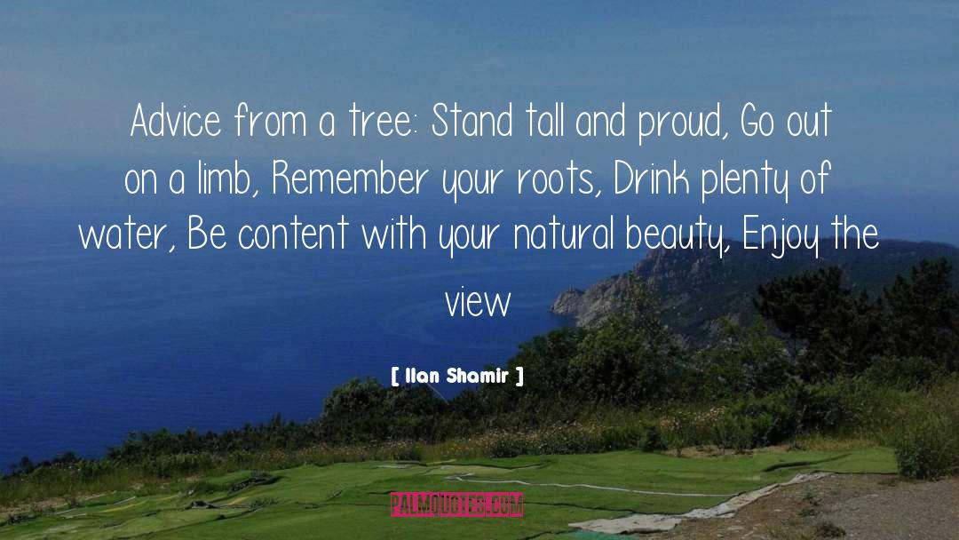 Beauty From Nature quotes by Ilan Shamir