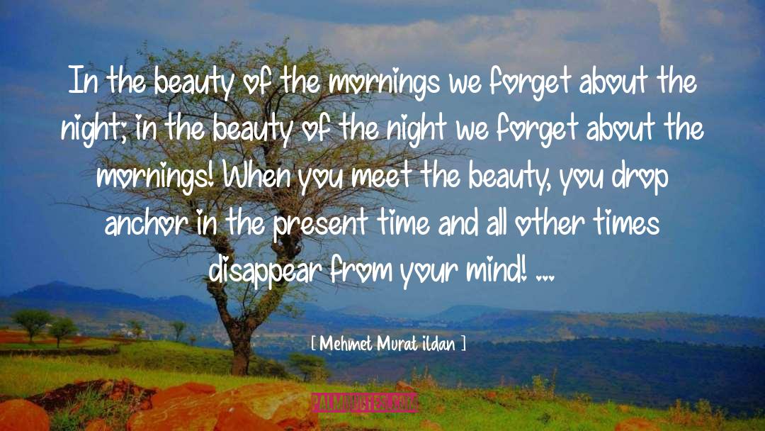 Beauty From Nature quotes by Mehmet Murat Ildan