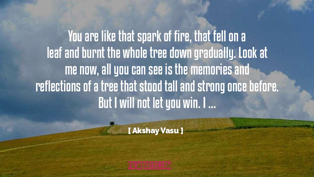 Beauty From The Ashes quotes by Akshay Vasu