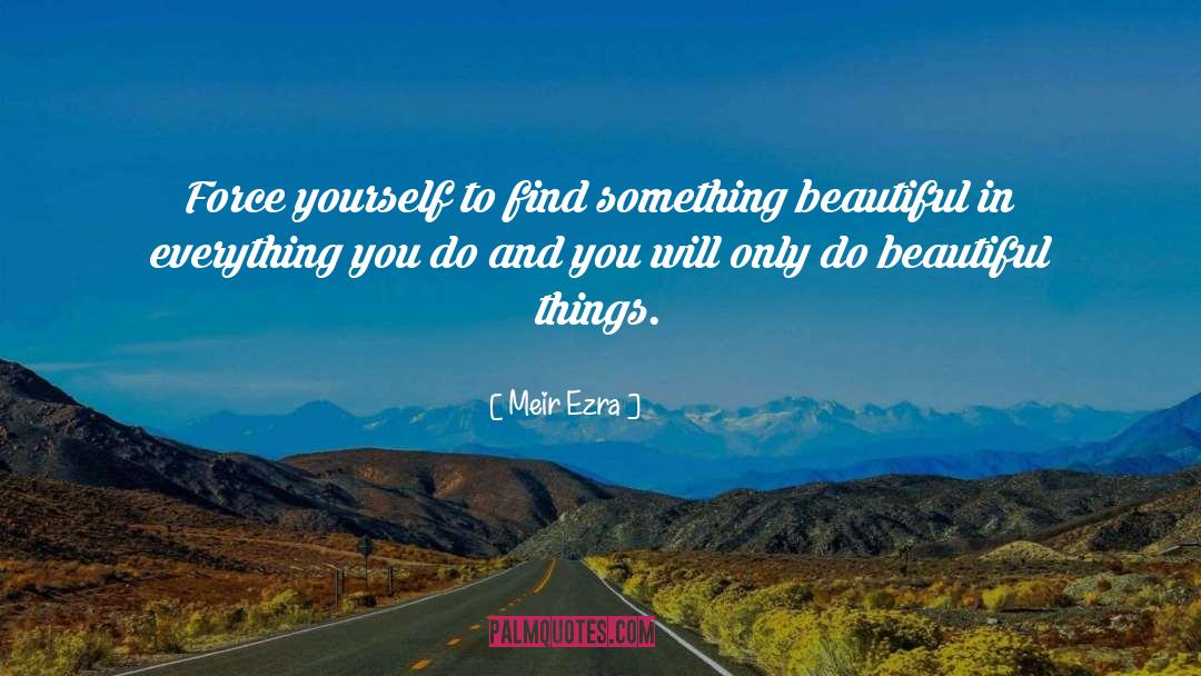 Beauty In Everything quotes by Meir Ezra